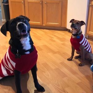 Meet your Posher, Robert